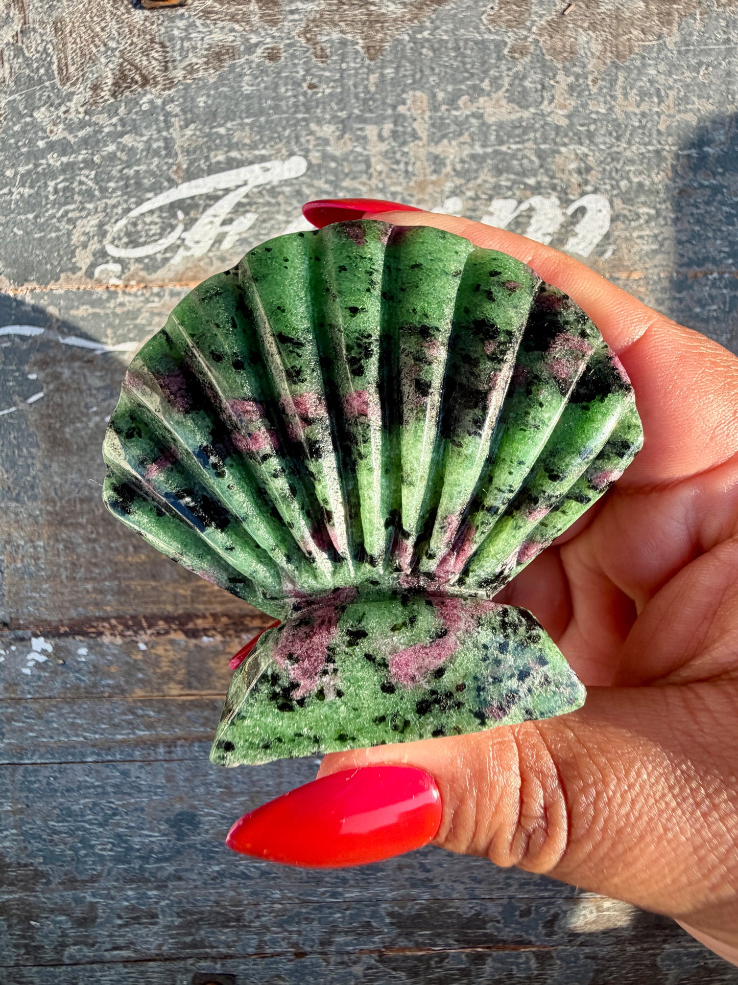 One (1) Gorgeous Ruby in Zoisite Scallop Shell | Intuitively Chosen | UV Reactive (self standing)
