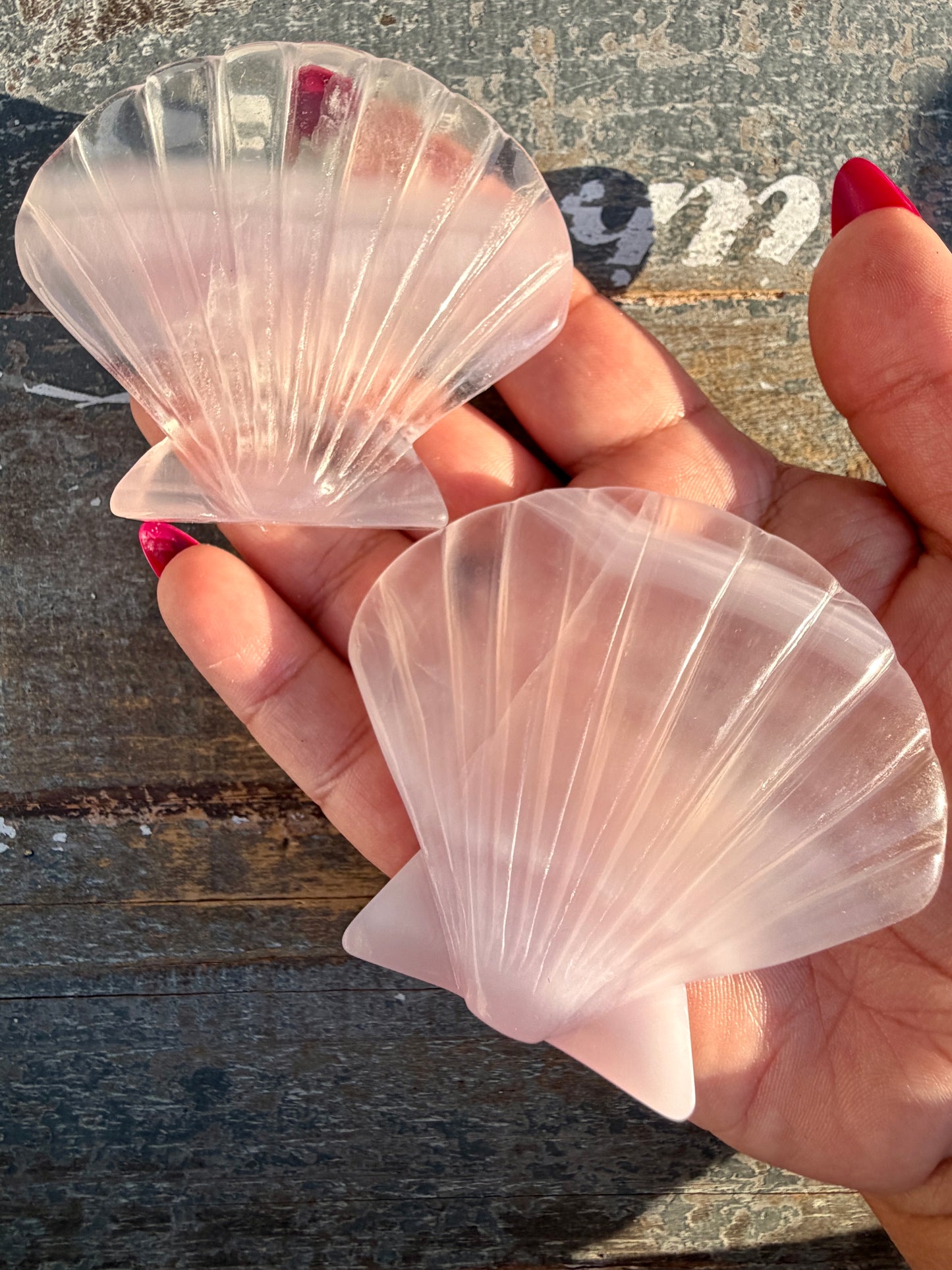 One (1) Gorgeous Lavender Fluorite Scallop Shell | Intuitively Chosen