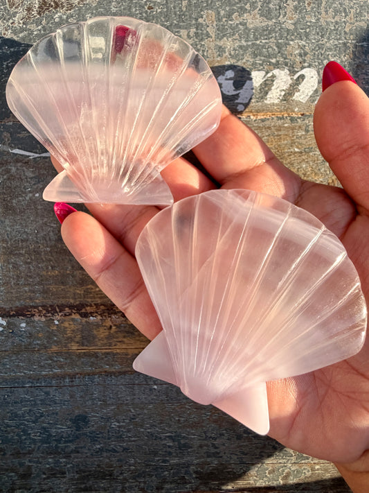 One (1) Gorgeous Lavender Fluorite Scallop Shell | Intuitively Chosen