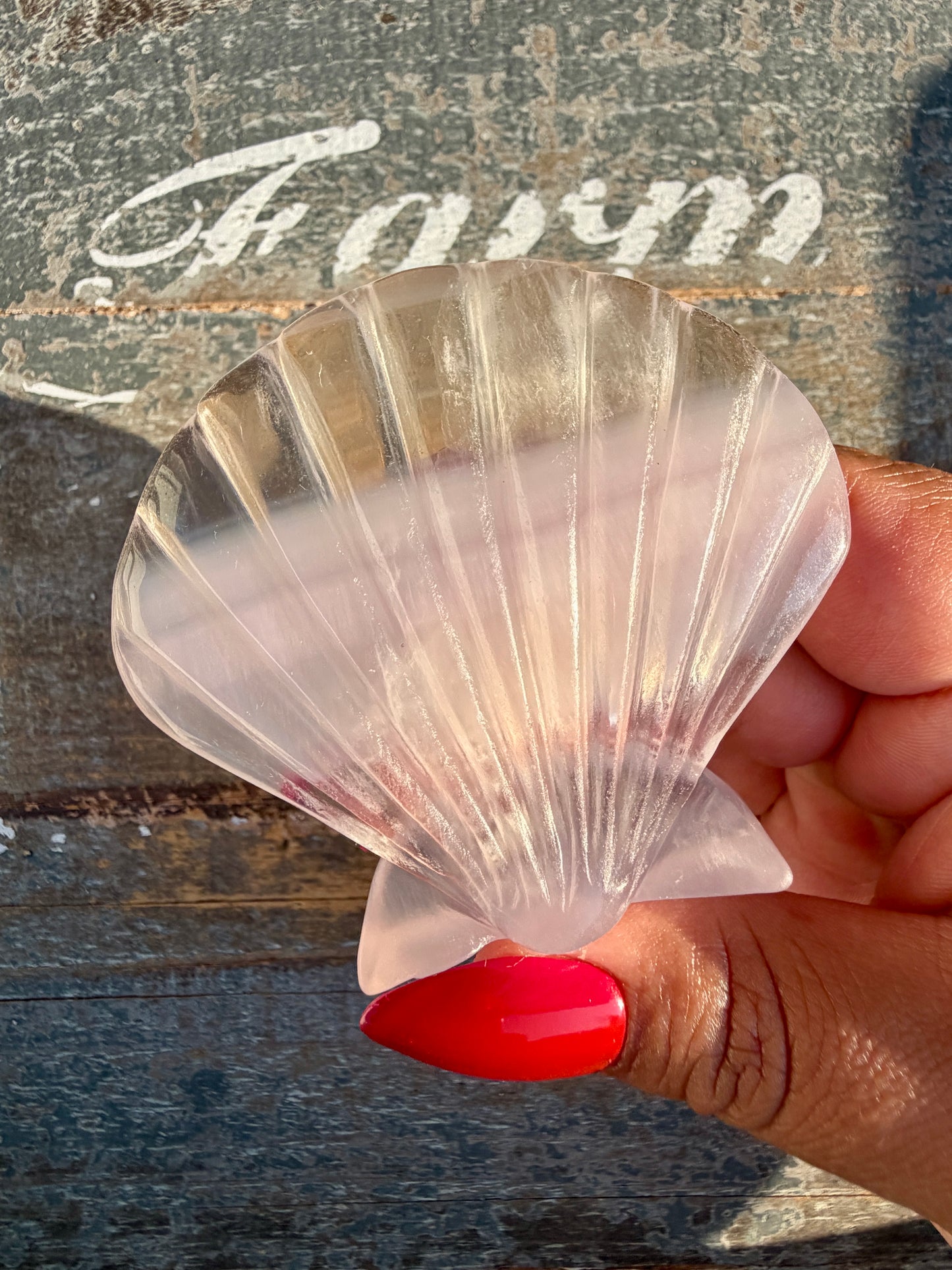 One (1) Gorgeous Lavender Fluorite Scallop Shell | Intuitively Chosen