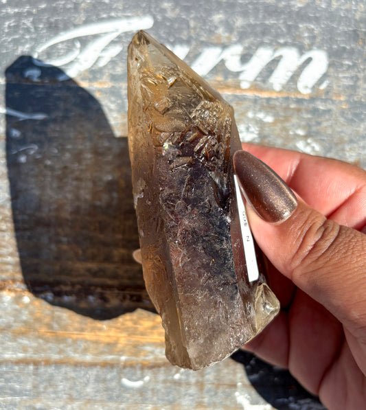 Gorgeous Smoky Lemurian Quartz from Brazil | N