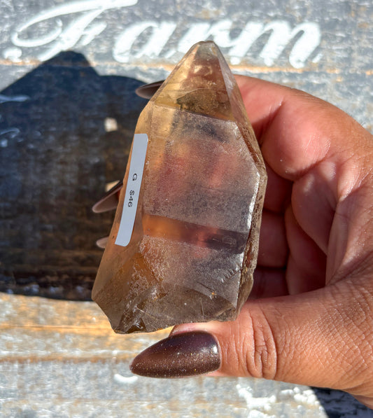 Gorgeous Smoky Lemurian Quartz from Brazil | G