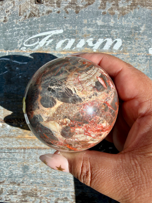 Gorgeous Money Agate Sphere | Opt J