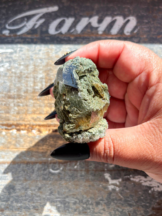 Rare High-Altitude Himalayan Quartz with Chlorite Inclusions – Collector’s Piece from India