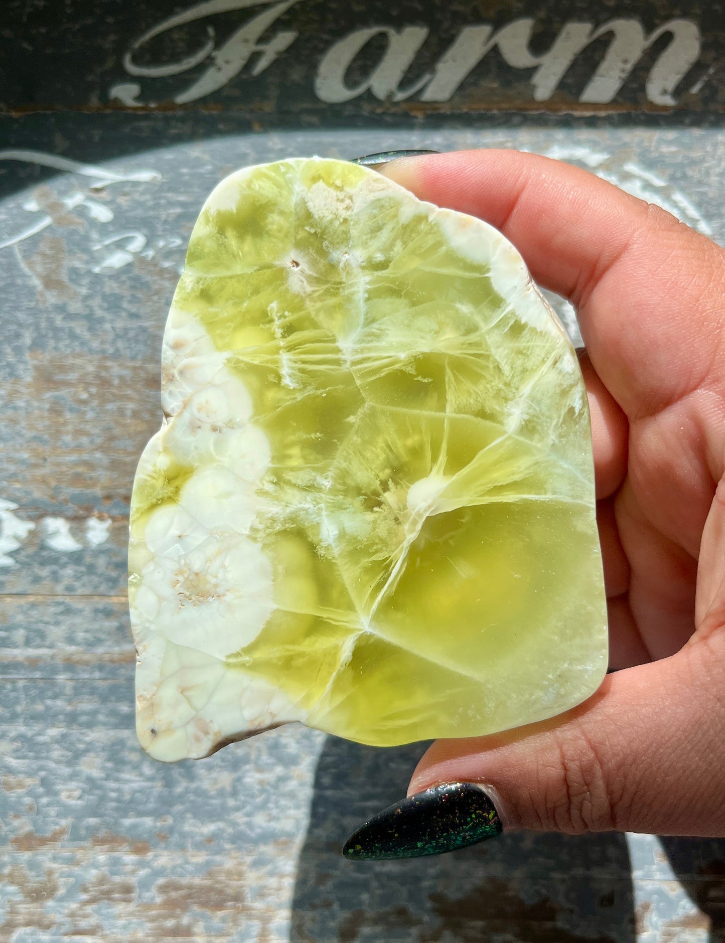 Gorgeous AAA Prehnite Polished Slab from Australia *Tucson Gem Show Exclusive*