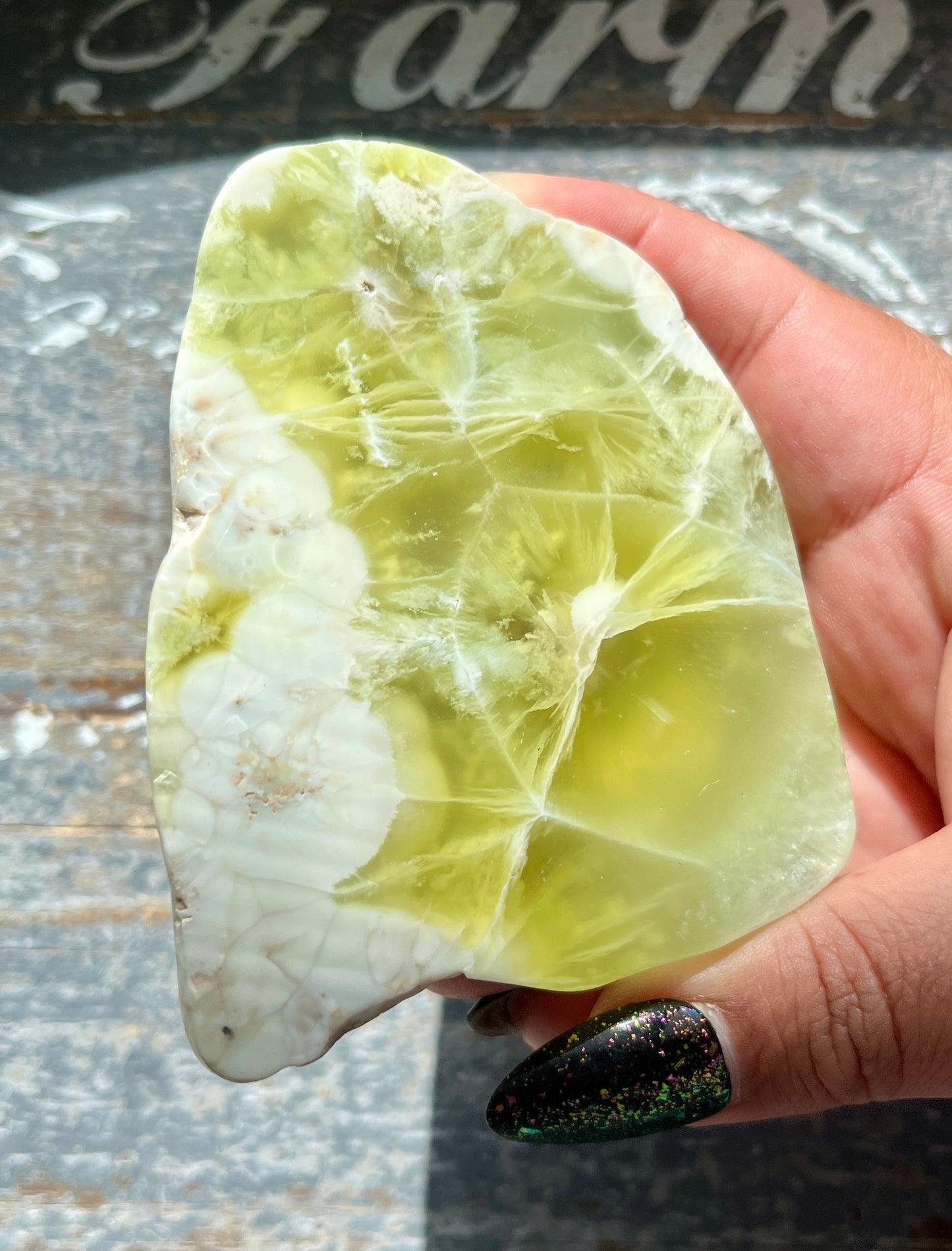 Gorgeous AAA Prehnite Polished Slab from Australia *Tucson Gem Show Exclusive*