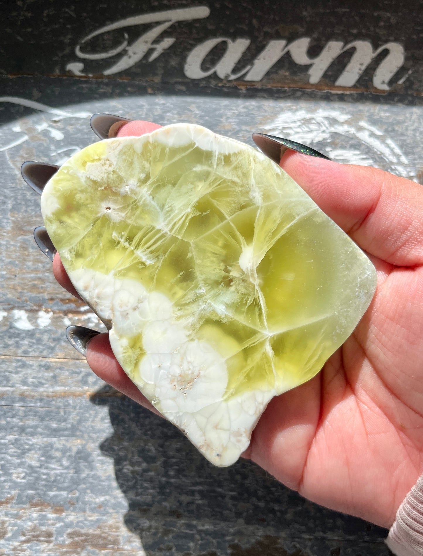 Gorgeous AAA Prehnite Polished Slab from Australia *Tucson Gem Show Exclusive*