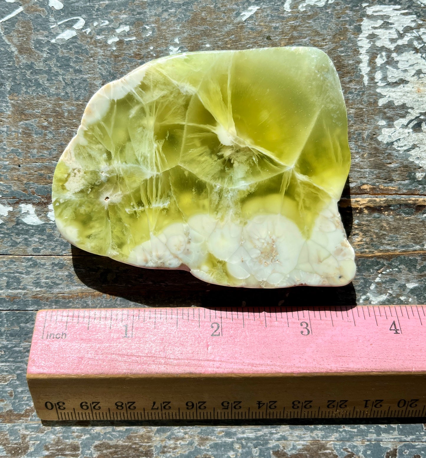 Gorgeous AAA Prehnite Polished Slab from Australia *Tucson Gem Show Exclusive*