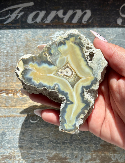 Gorgeous Agate Slice from Indonesia