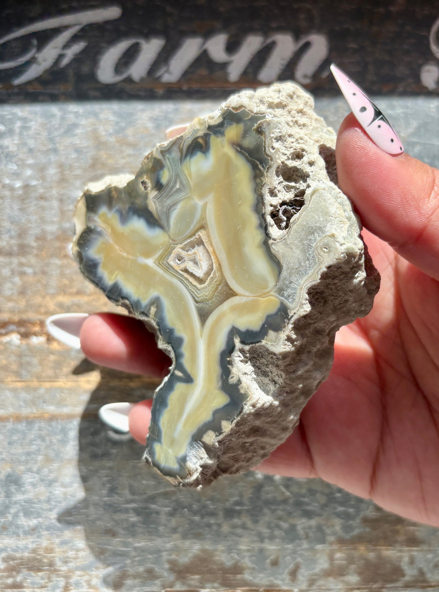 Gorgeous Agate Slice from Indonesia