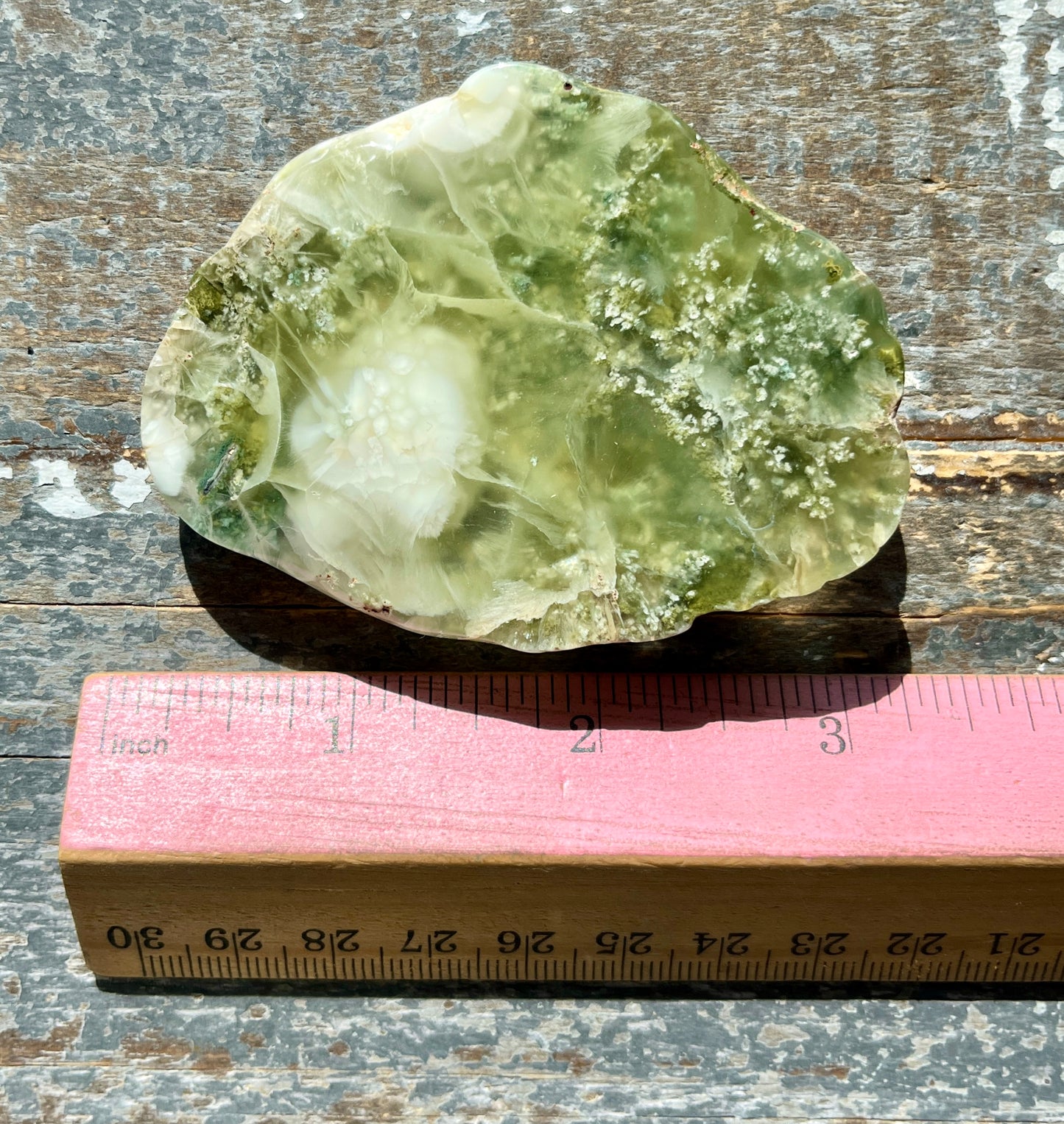 Gorgeous AAA Prehnite Polished Slab from Australia *Tucson Gem Show Exclusive*