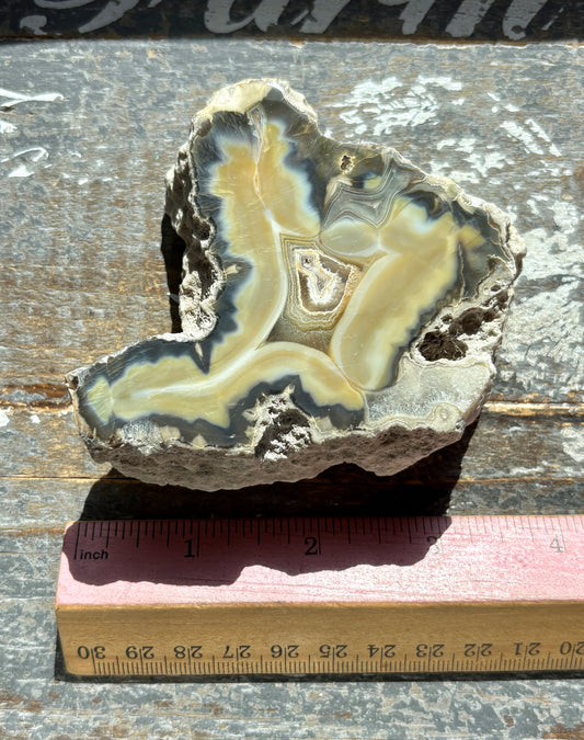 Gorgeous Agate Slice from Indonesia