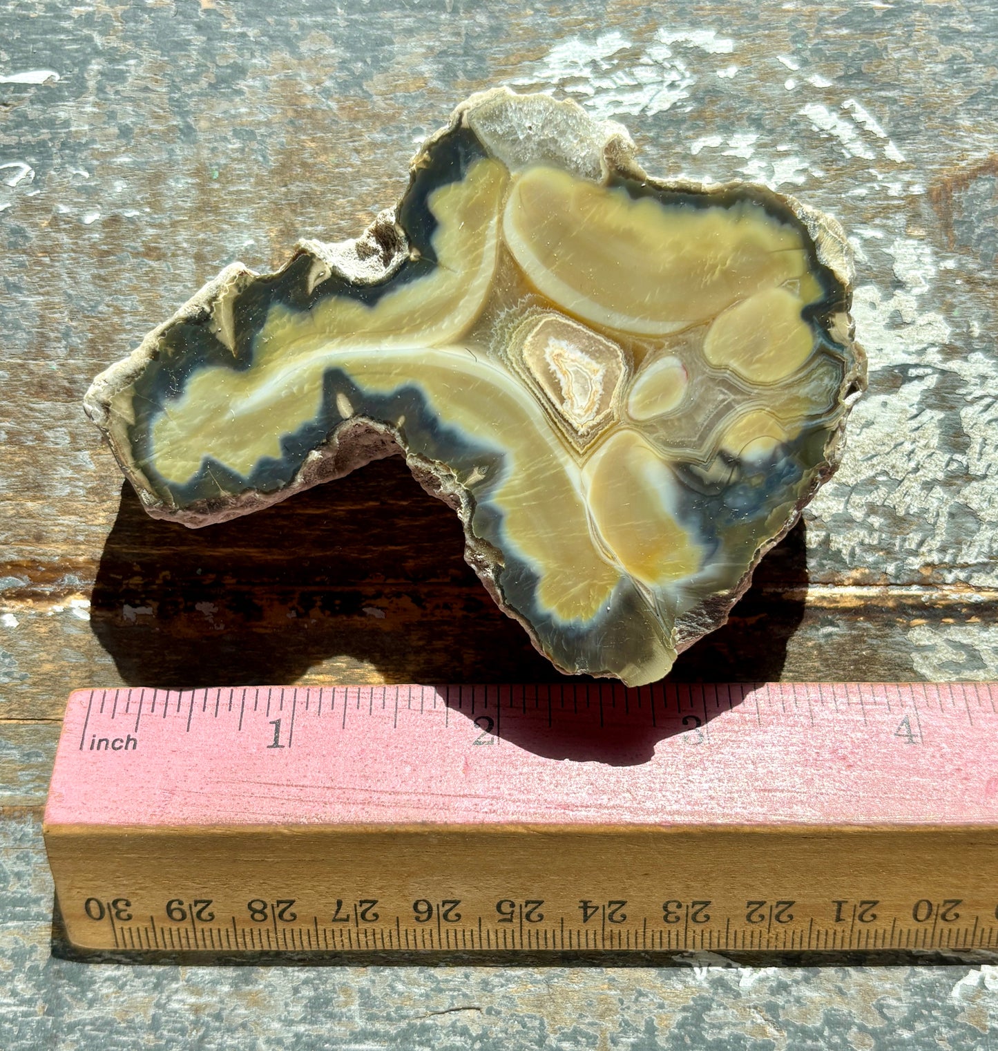 Gorgeous Agate Slice from Indonesia