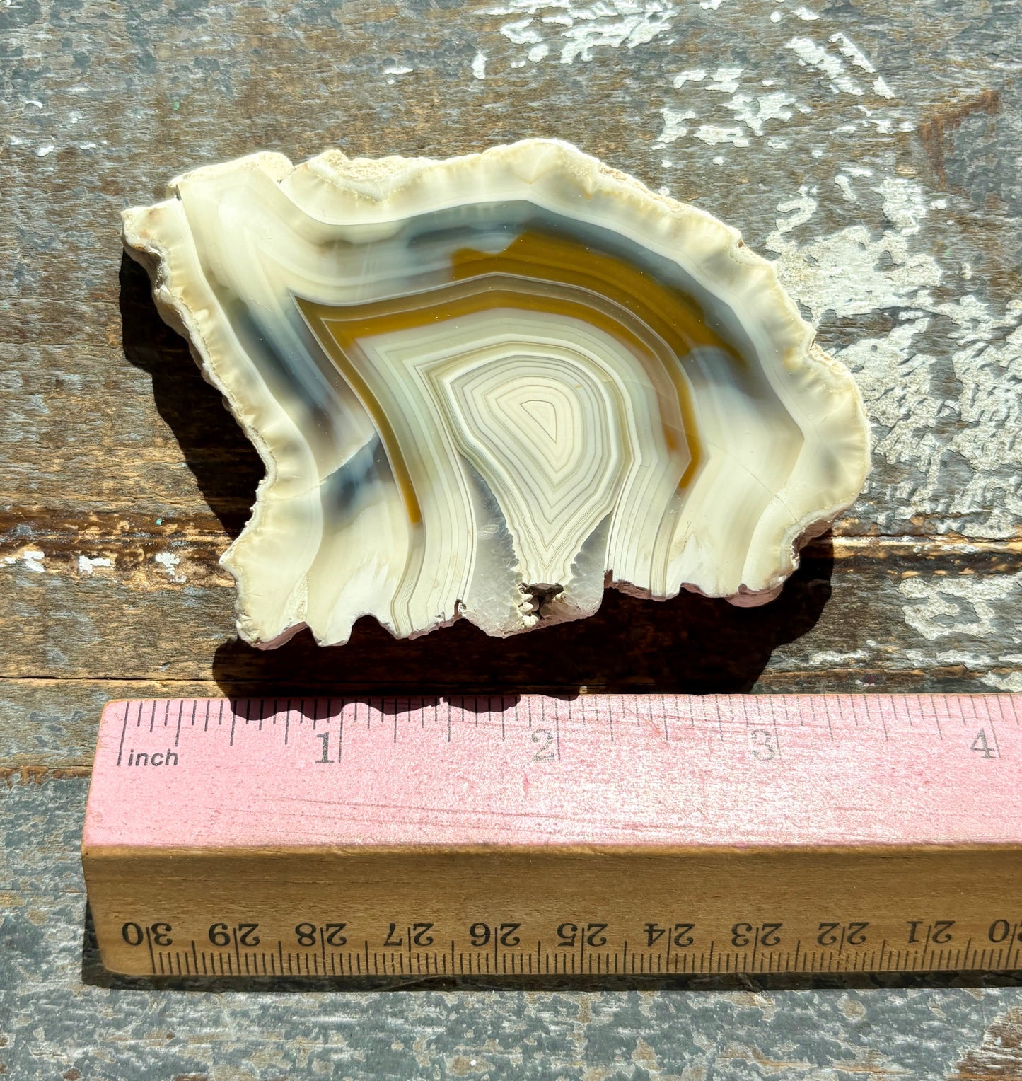 Gorgeous Agate Slice from Indonesia