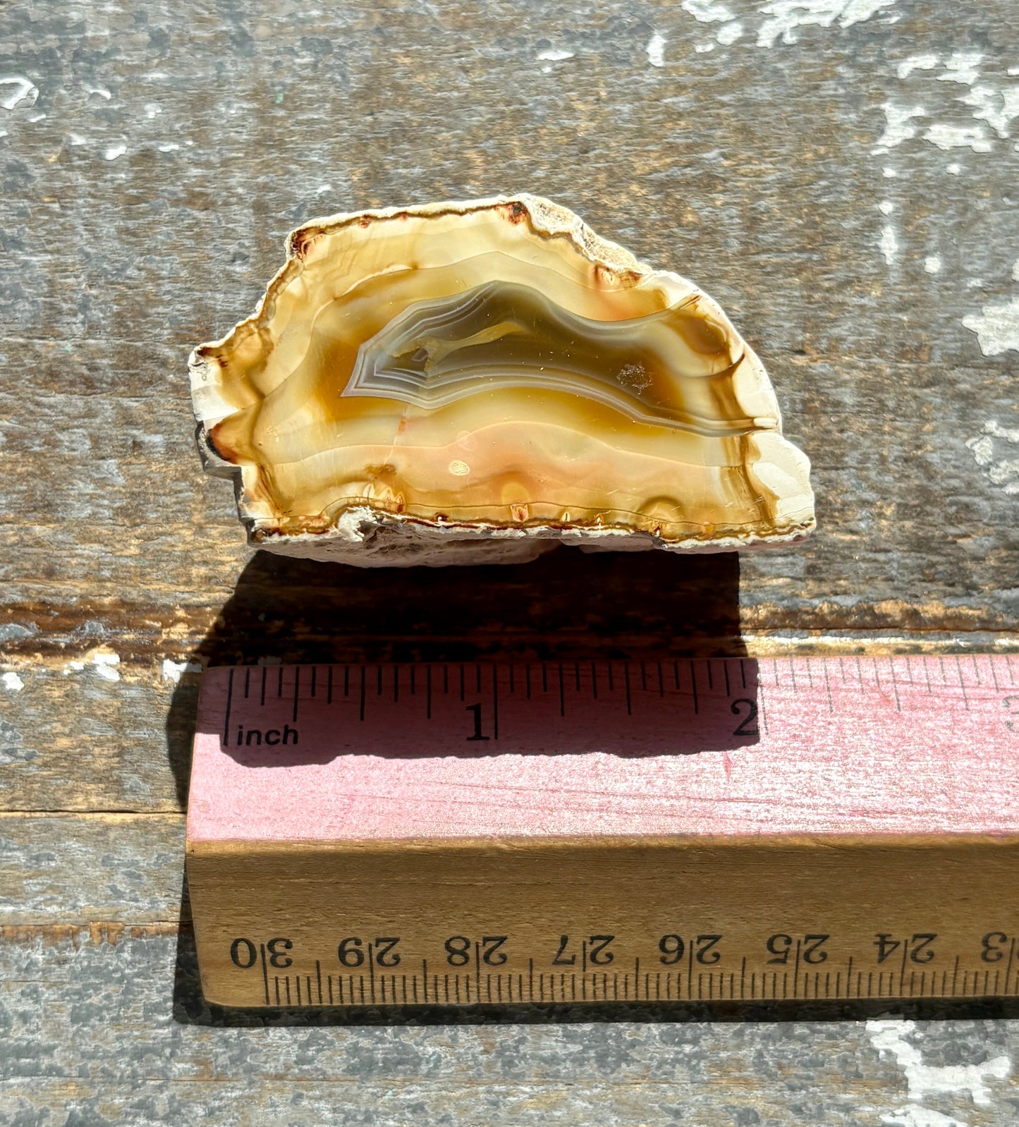 Gorgeous Agate Slice from Indonesia