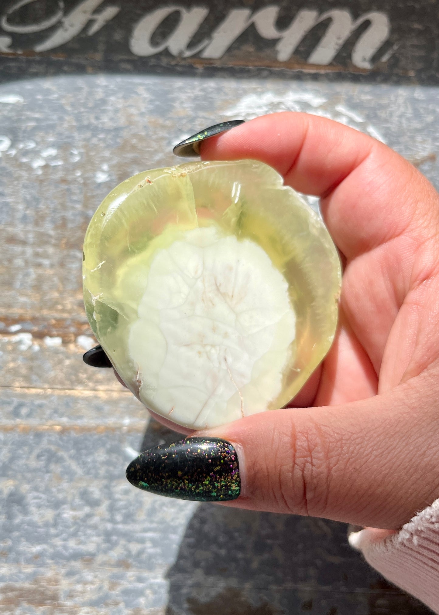 Gorgeous AAA Prehnite Polished Slab from Australia *Tucson Gem Show Exclusive*