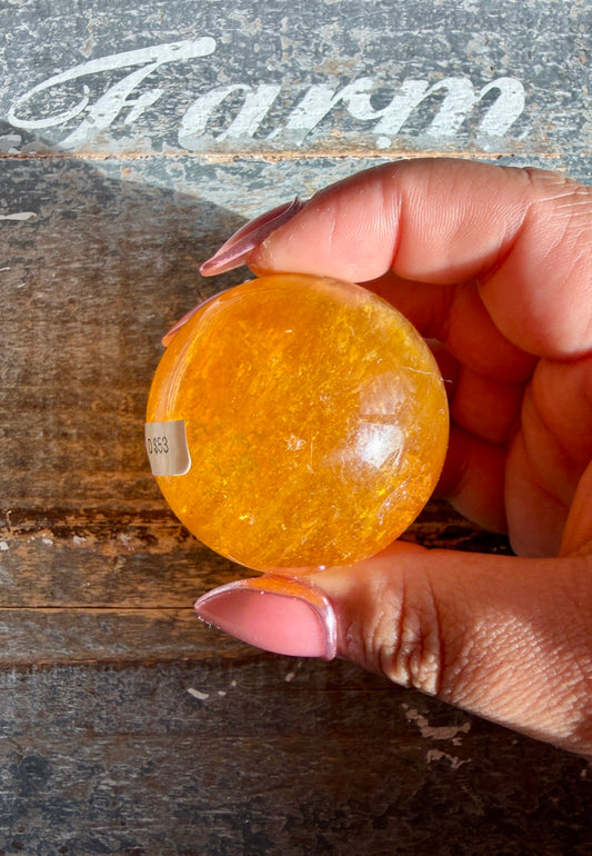 Gorgeous Yellow Fluorite with Mica | Opt D