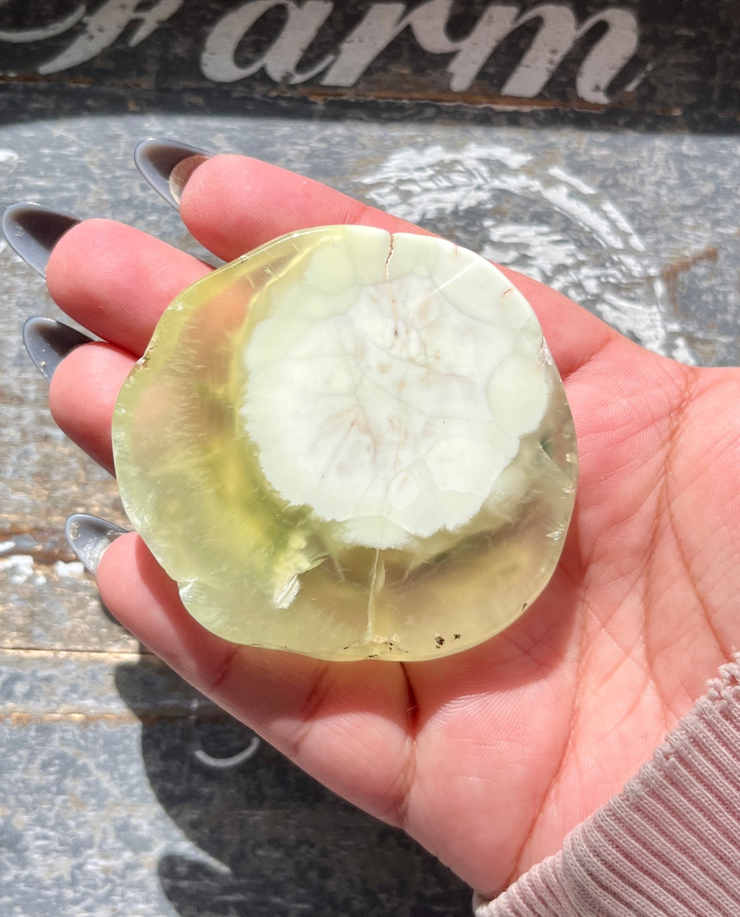 Gorgeous AAA Prehnite Polished Slab from Australia *Tucson Gem Show Exclusive*