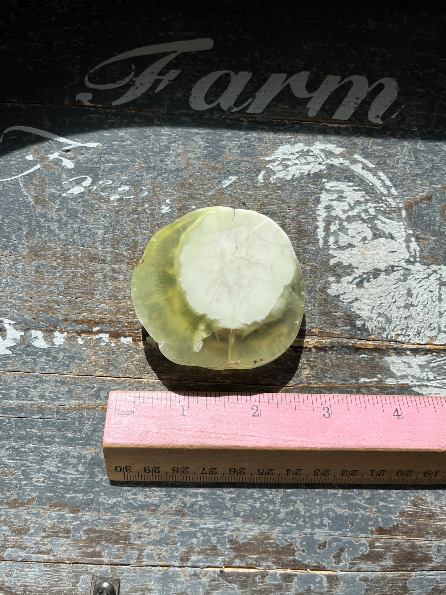 Gorgeous AAA Prehnite Polished Slab from Australia *Tucson Gem Show Exclusive*