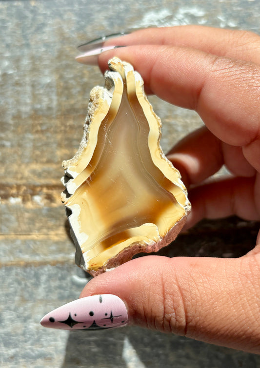 Gorgeous Agate Slice from Indonesia