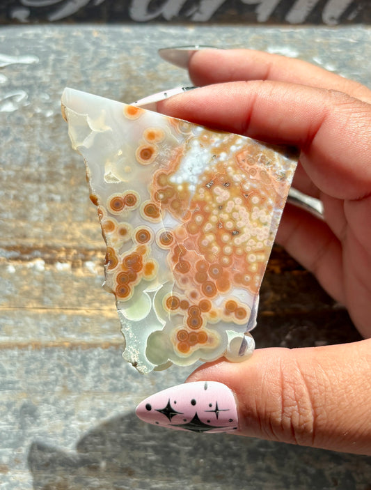 Gorgeous Authentic 8th Vein Ocean Jasper Slab from Madagascar