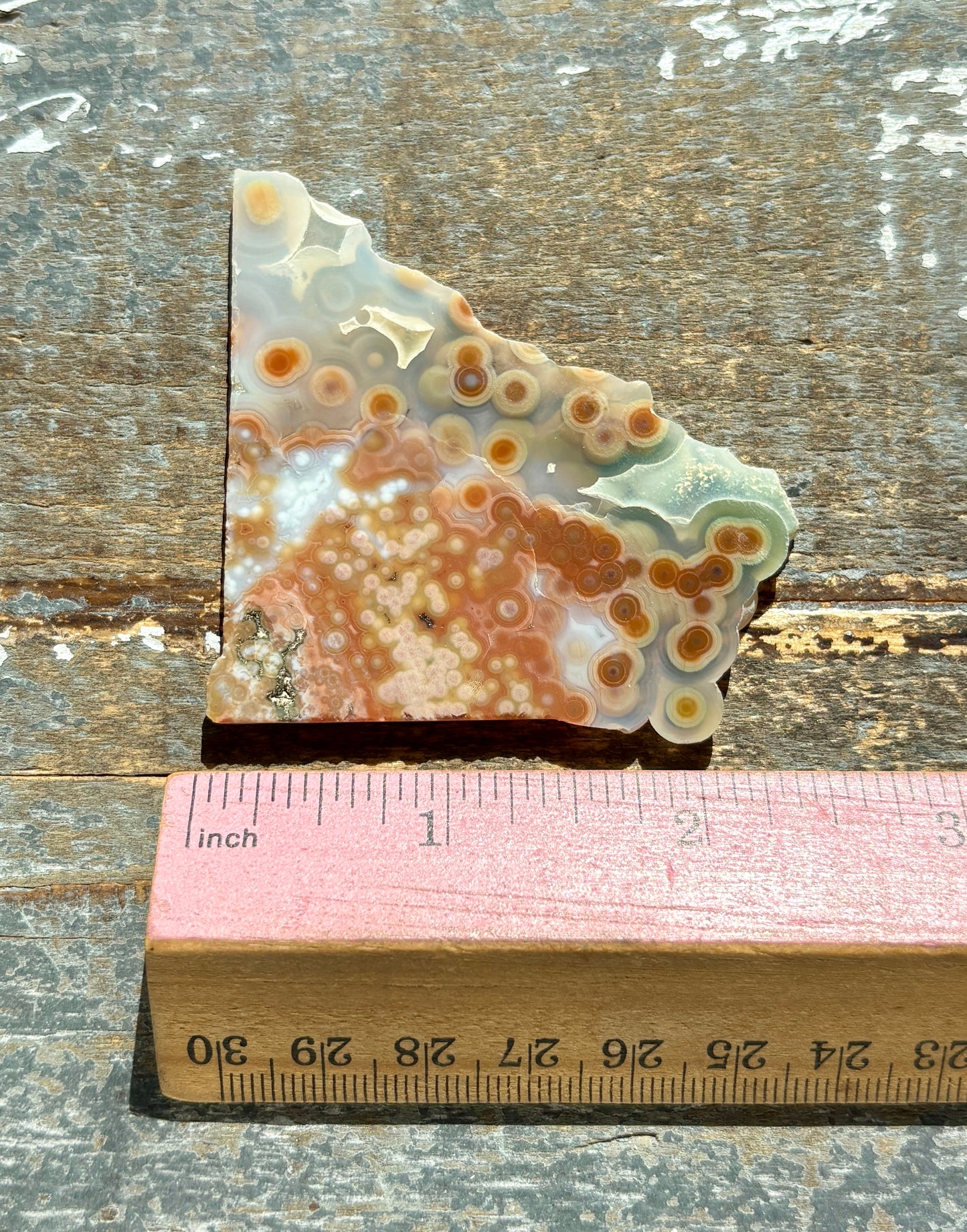 Gorgeous Authentic 8th Vein Ocean Jasper Slab from Madagascar