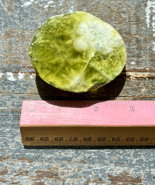 Gorgeous AAA Prehnite Polished Slab from Australia *Tucson Gem Show Exclusive*