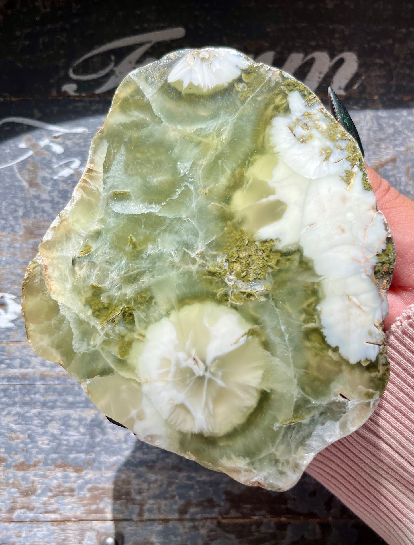 Gorgeous AAA Prehnite Polished Slab from Australia *Tucson Gem Show Exclusive*