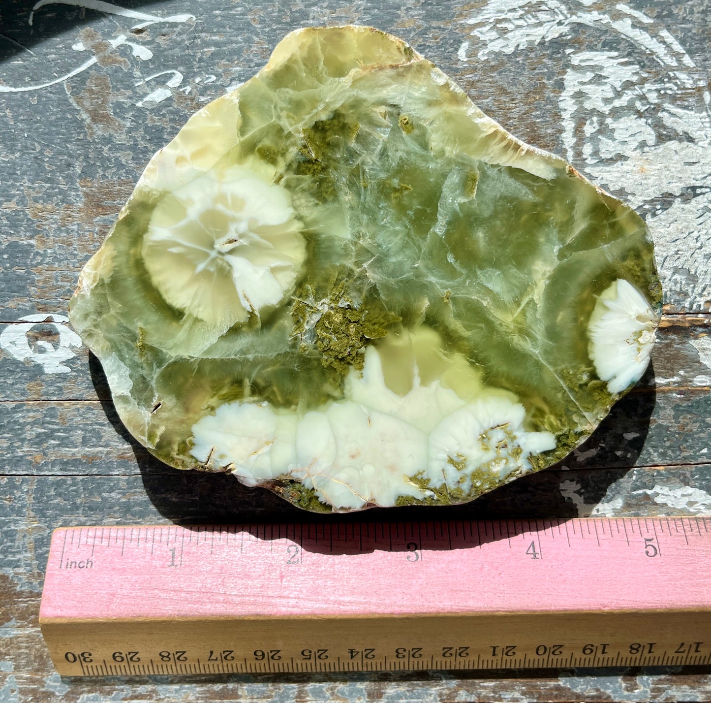 Gorgeous AAA Prehnite Polished Slab from Australia *Tucson Gem Show Exclusive*