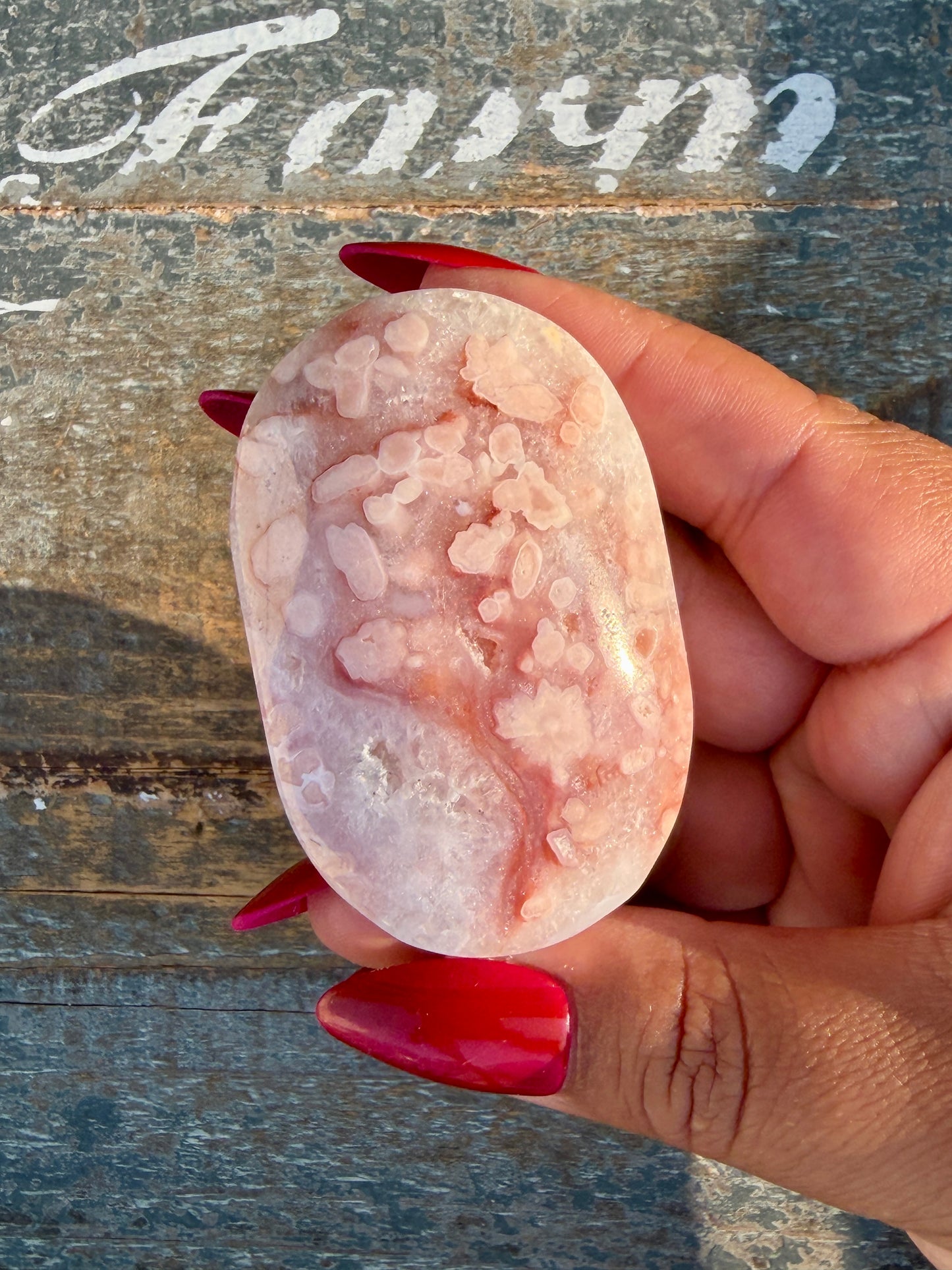 Gorgeous Flower Agate Palm Stone | Opt 29