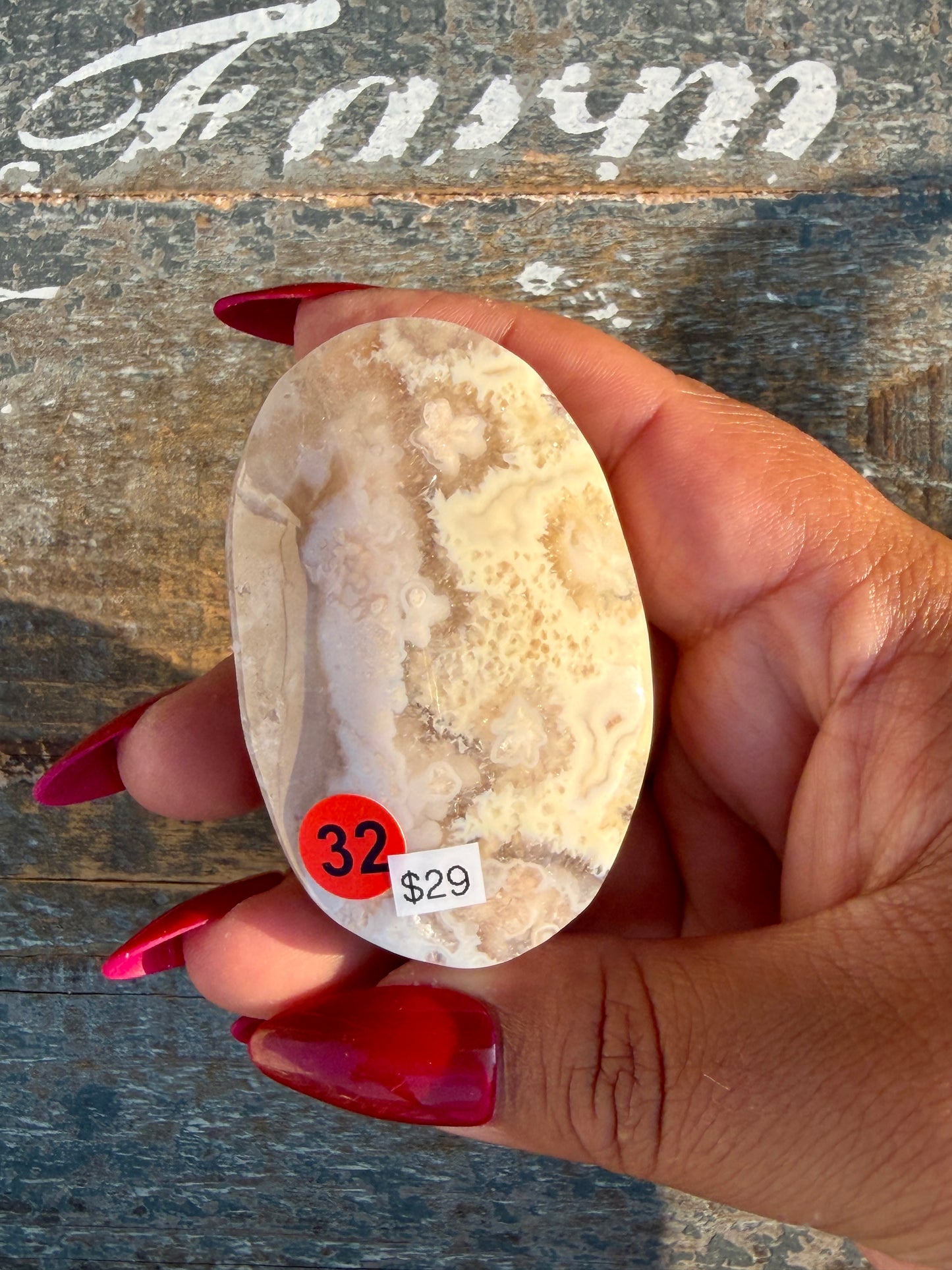 Gorgeous Flower Agate Palm Stone | Opt 32
