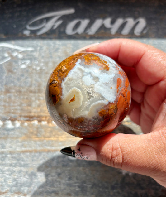 Gorgeous Brecciated Jasper in Agate Sphere from Indonesia