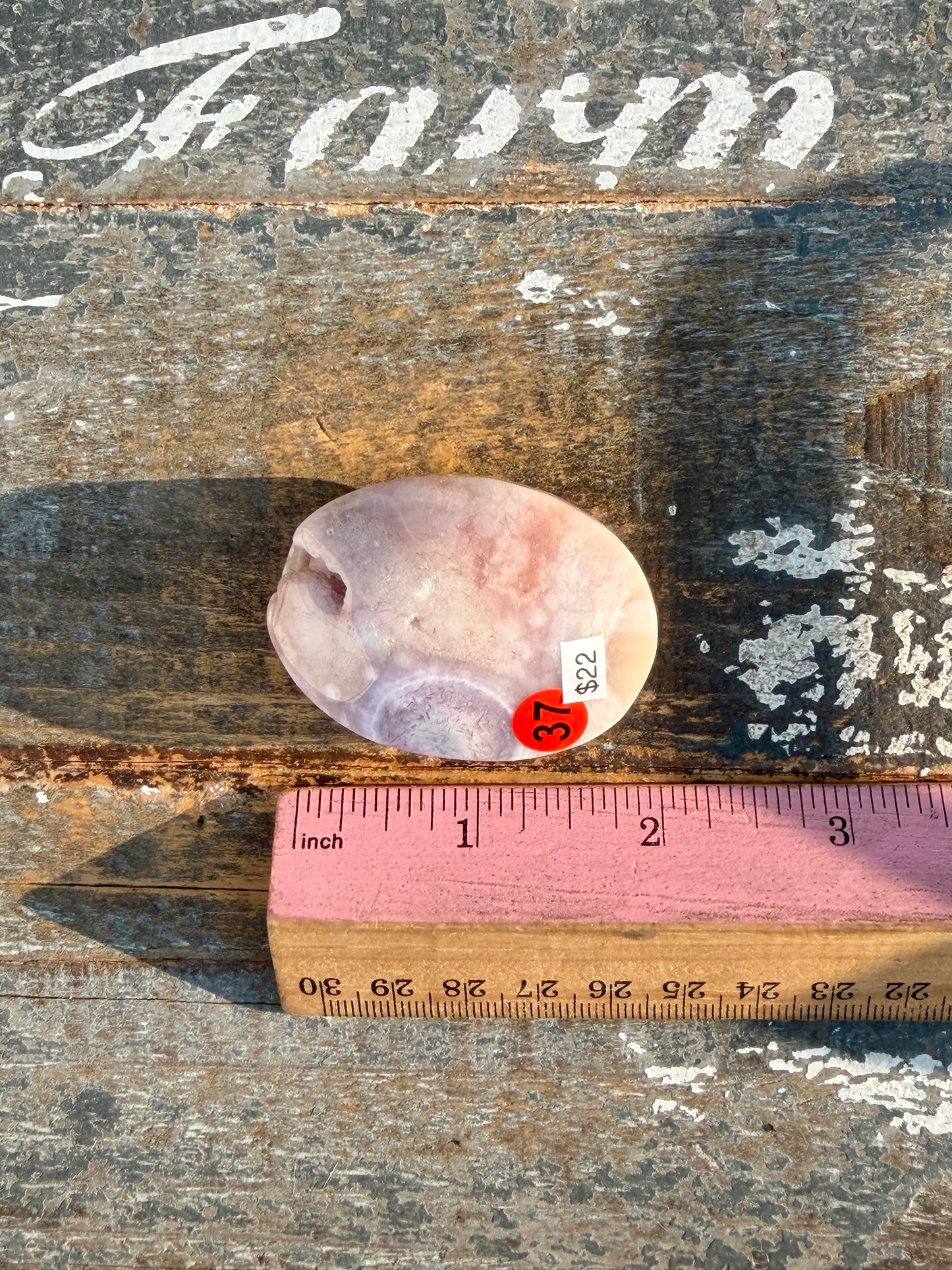 Gorgeous Flower Agate Palm Stone | Opt 37