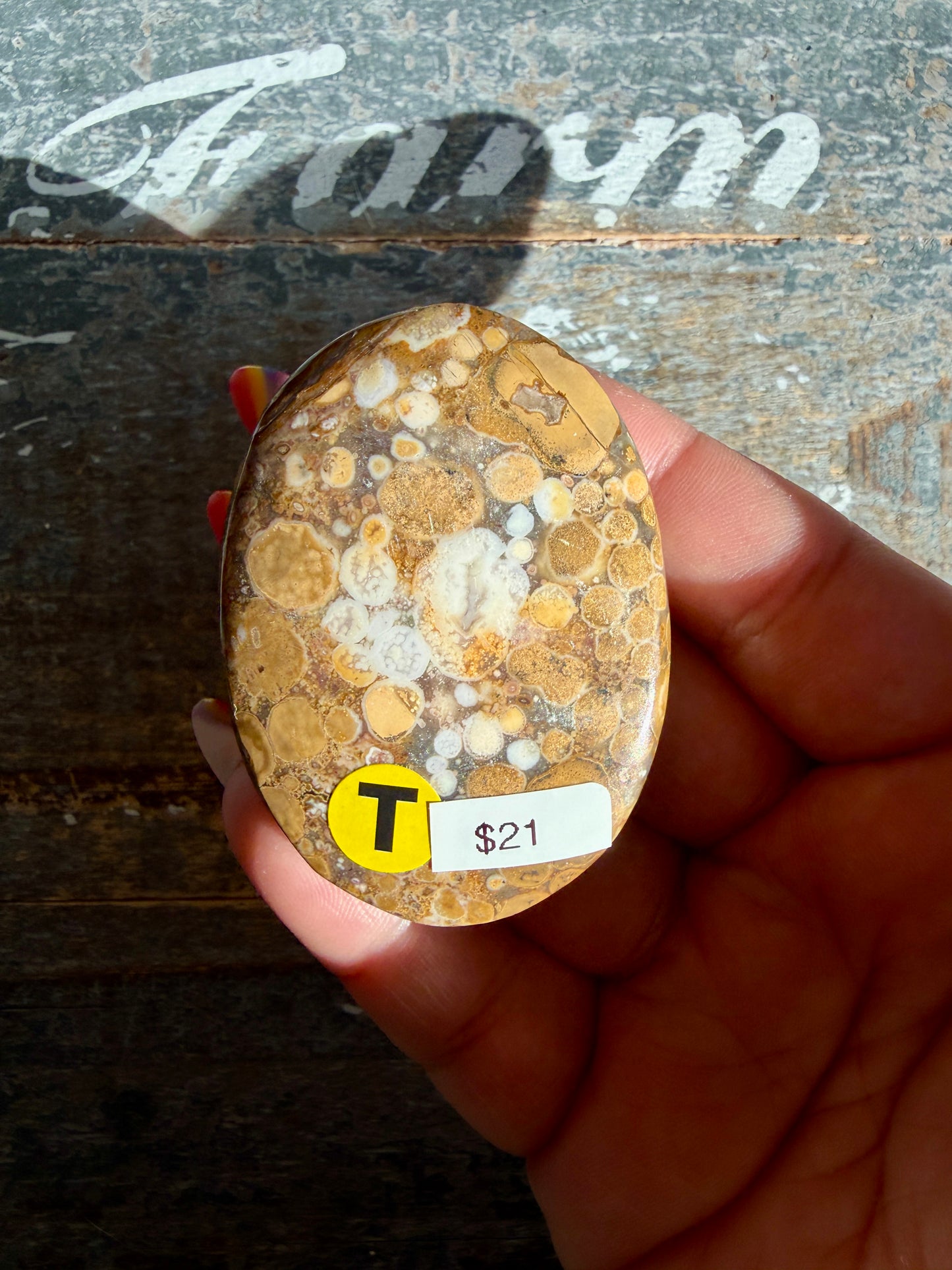 Gorgeous Cobra Jasper Palm Stone | India | Opt T