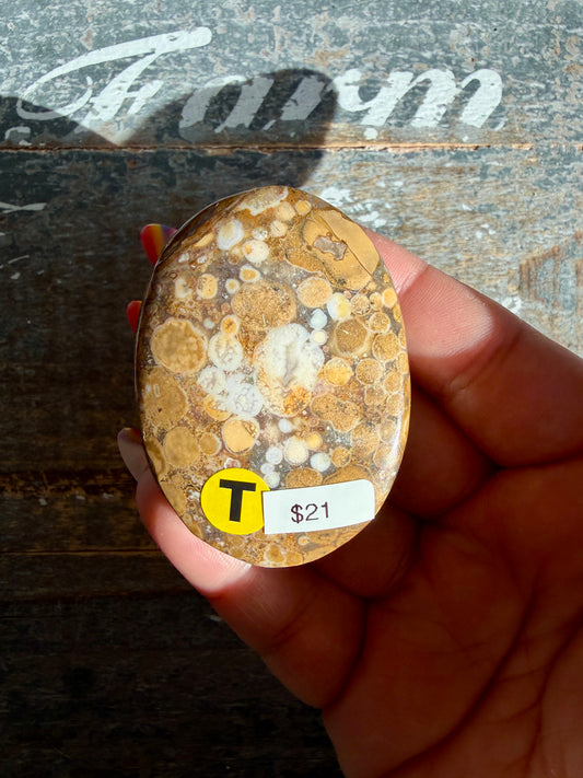 Gorgeous Cobra Jasper Palm Stone | India | Opt T