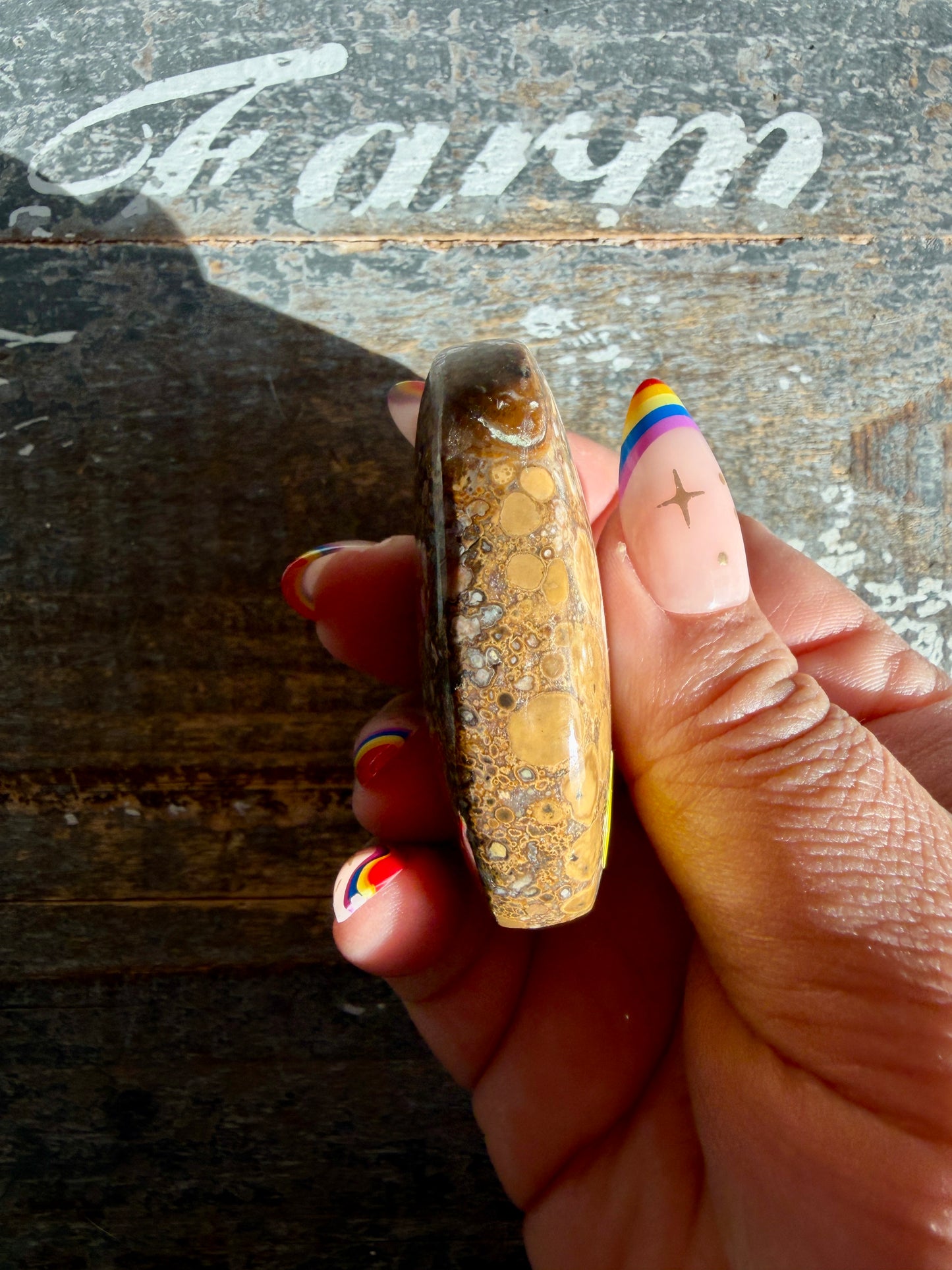 Gorgeous Cobra Jasper Palm Stone | India | Opt T