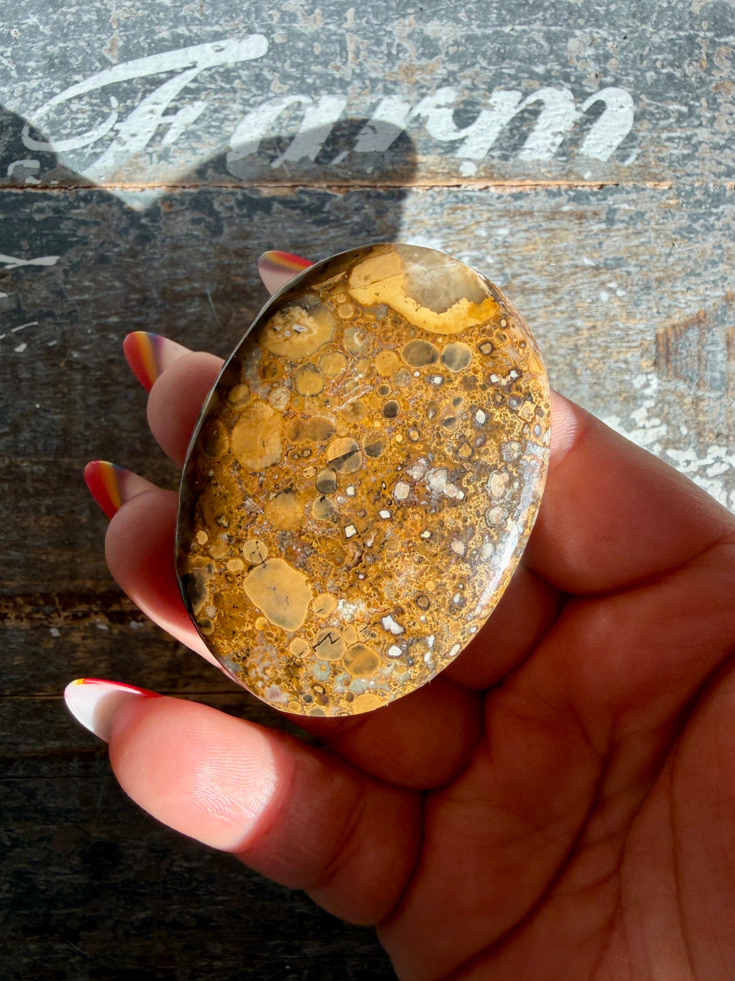 Gorgeous Cobra Jasper Palm Stone | India | Opt T