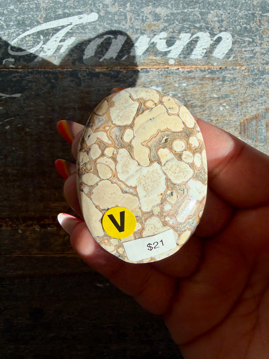 Gorgeous Cobra Jasper Palm Stone | India | Opt V