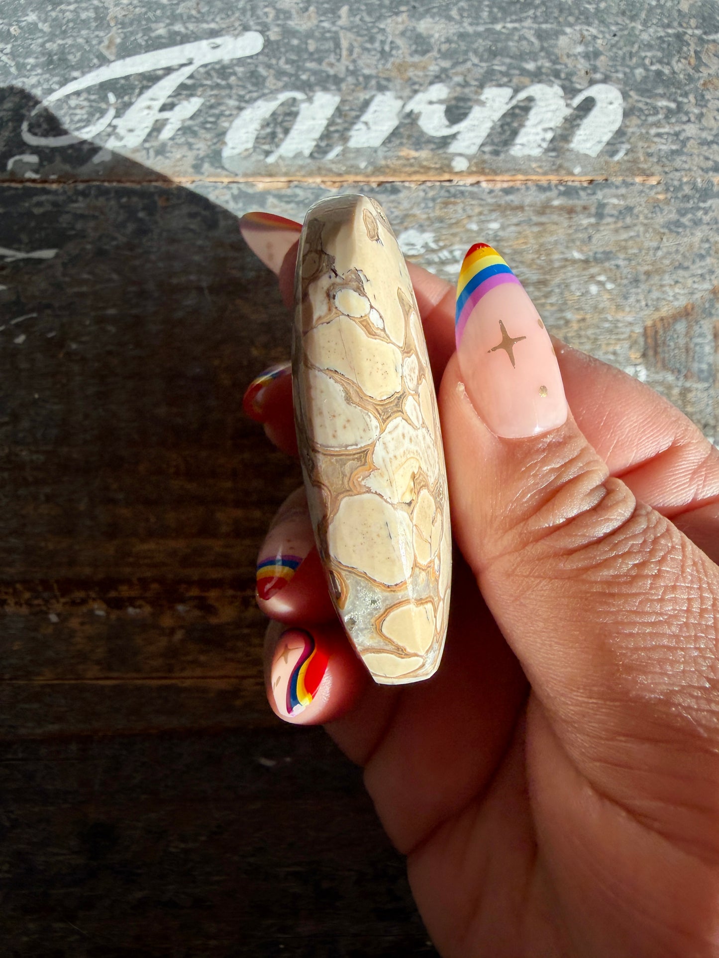 Gorgeous Cobra Jasper Palm Stone | India | Opt V