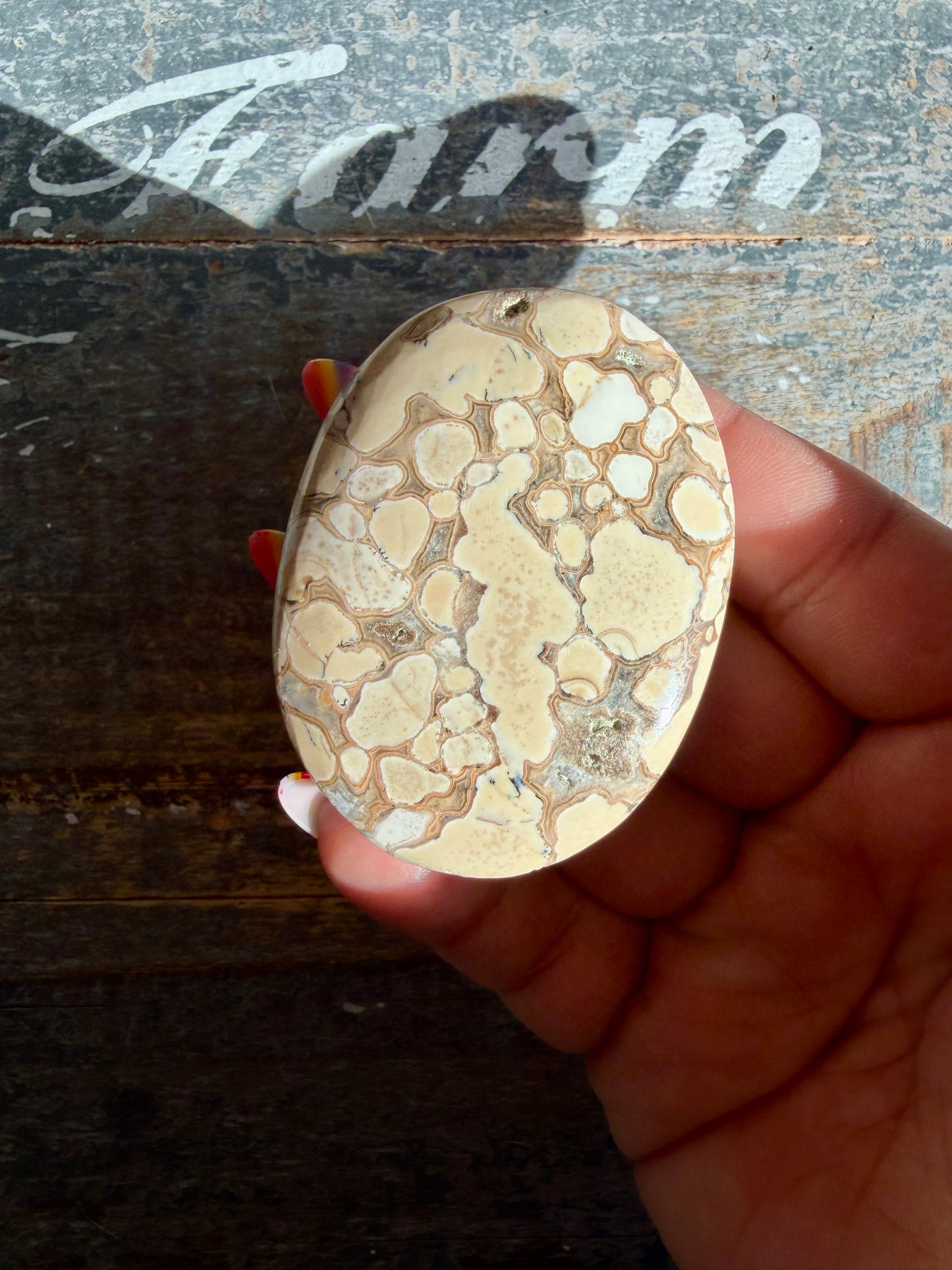 Gorgeous Cobra Jasper Palm Stone | India | Opt V