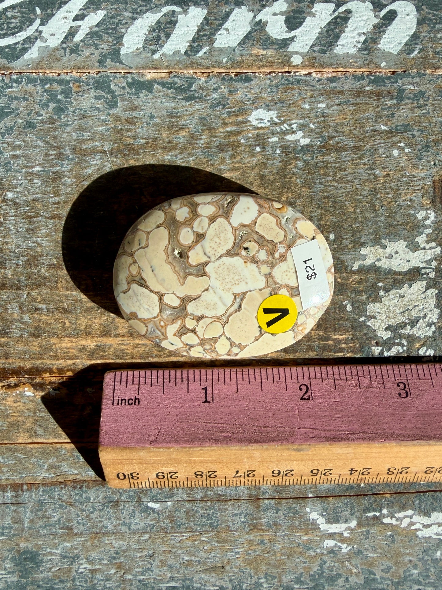 Gorgeous Cobra Jasper Palm Stone | India | Opt V