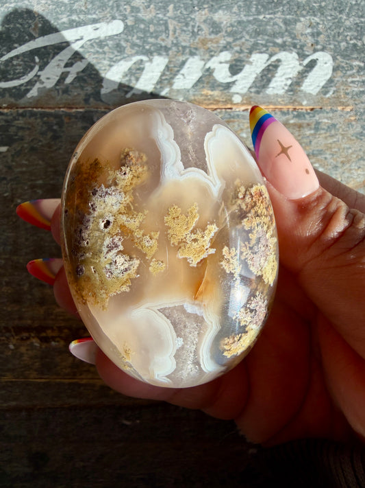 Gorgeous Indonesian Scenic Moss Agate Palm Stone | Opt M