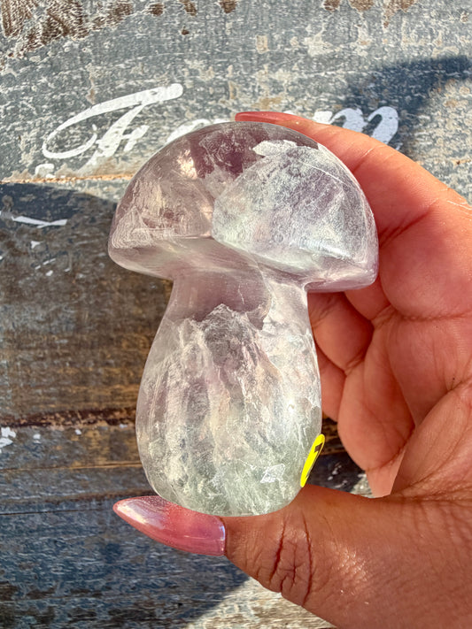 Gorgeous Rainbow Fluorite Mushroom | Opt Z