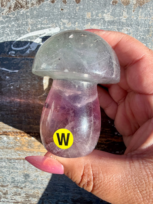 Gorgeous Rainbow Fluorite Mushroom | Opt W