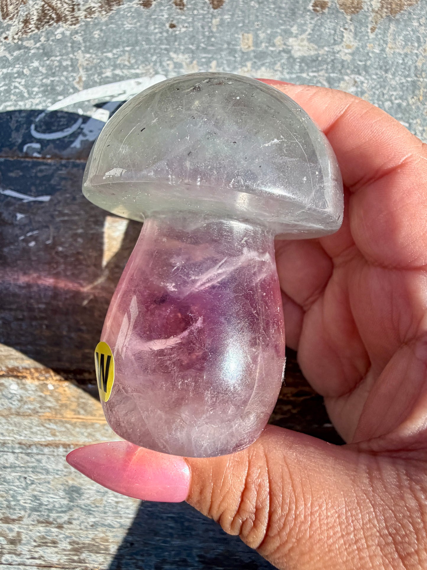 Gorgeous Rainbow Fluorite Mushroom | Opt W
