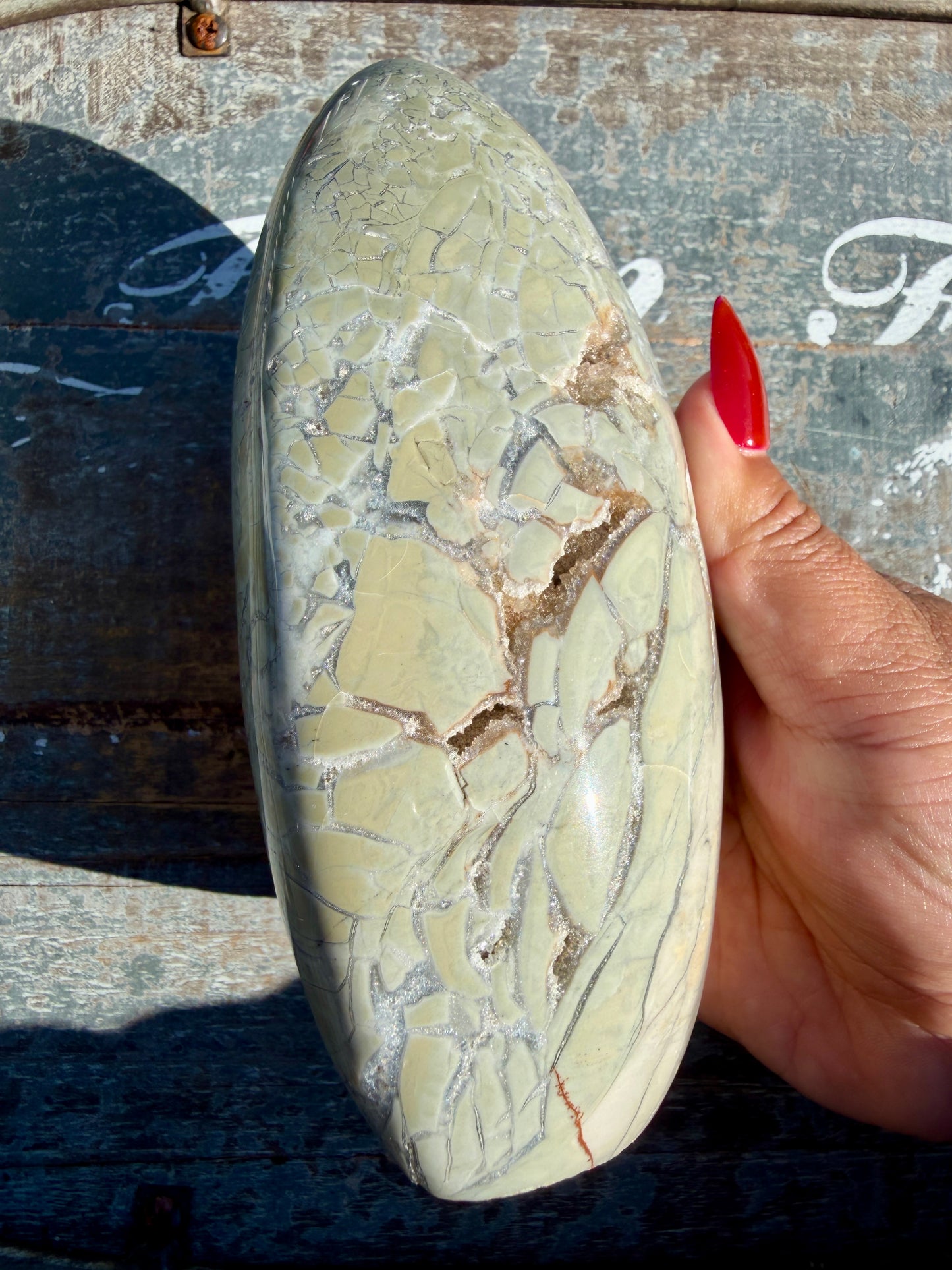 Gorgeous Ibis Jasper Freeform | Madagascar | Opt 47