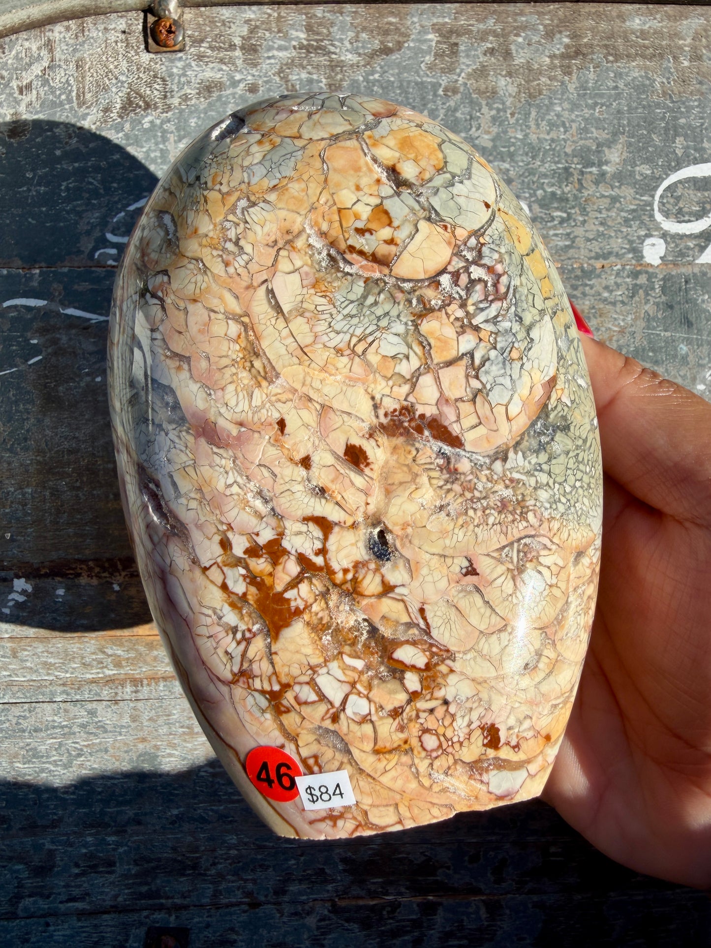 Gorgeous Ibis Jasper Freeform | Madagascar | Opt 46