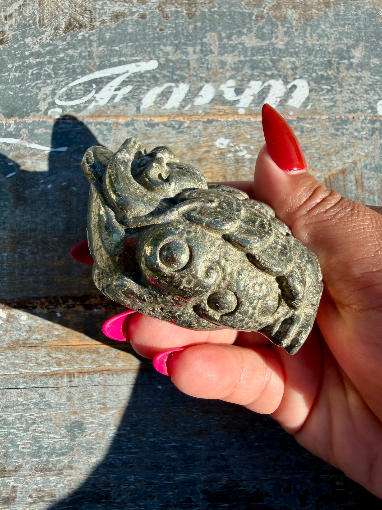 Money Manifestation Pyrite Money Toad | Opt 29
