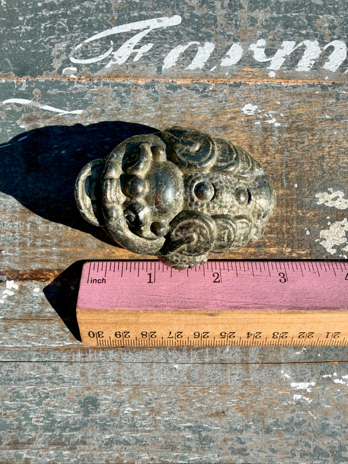 Money Manifestation Pyrite Money Toad | Opt 29