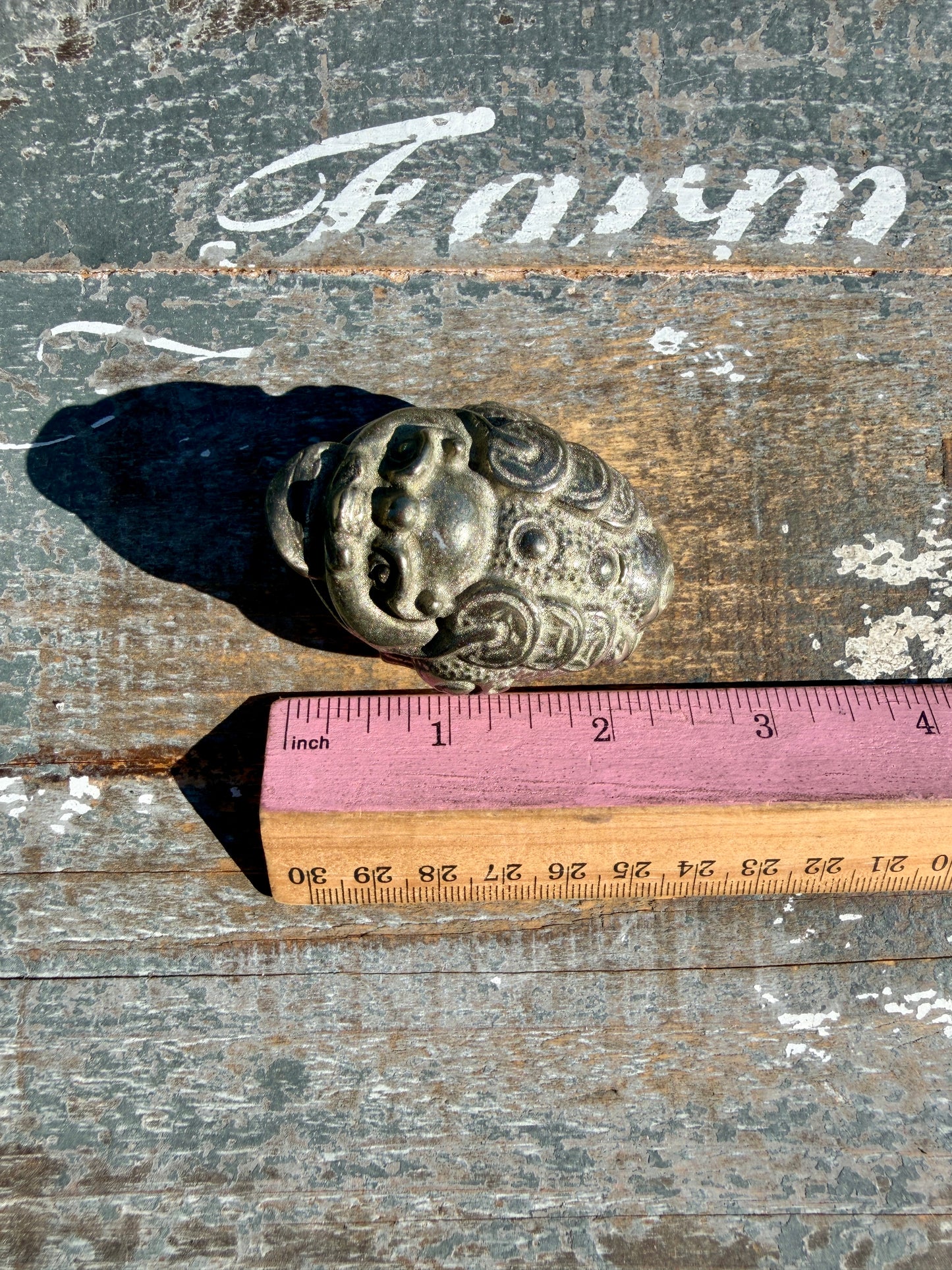 Money Manifestation Pyrite Money Toad | Opt 26